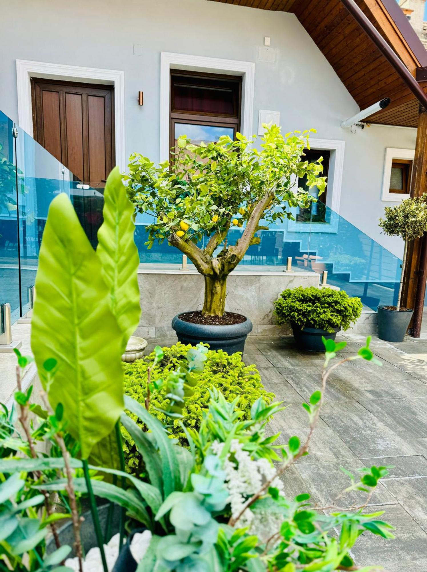 Boutique 17B Apart otel Sibiu Dış mekan fotoğraf